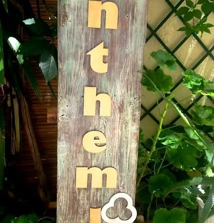 Anthemio 3*